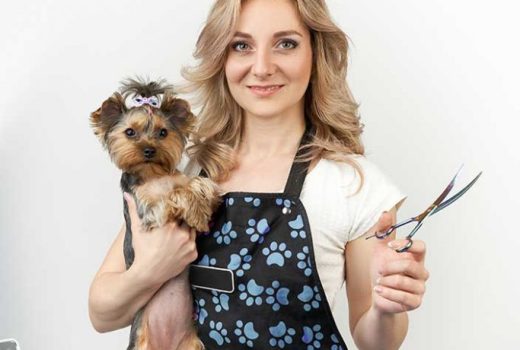 How Mobile Pet Grooming Reduces Pet Stress